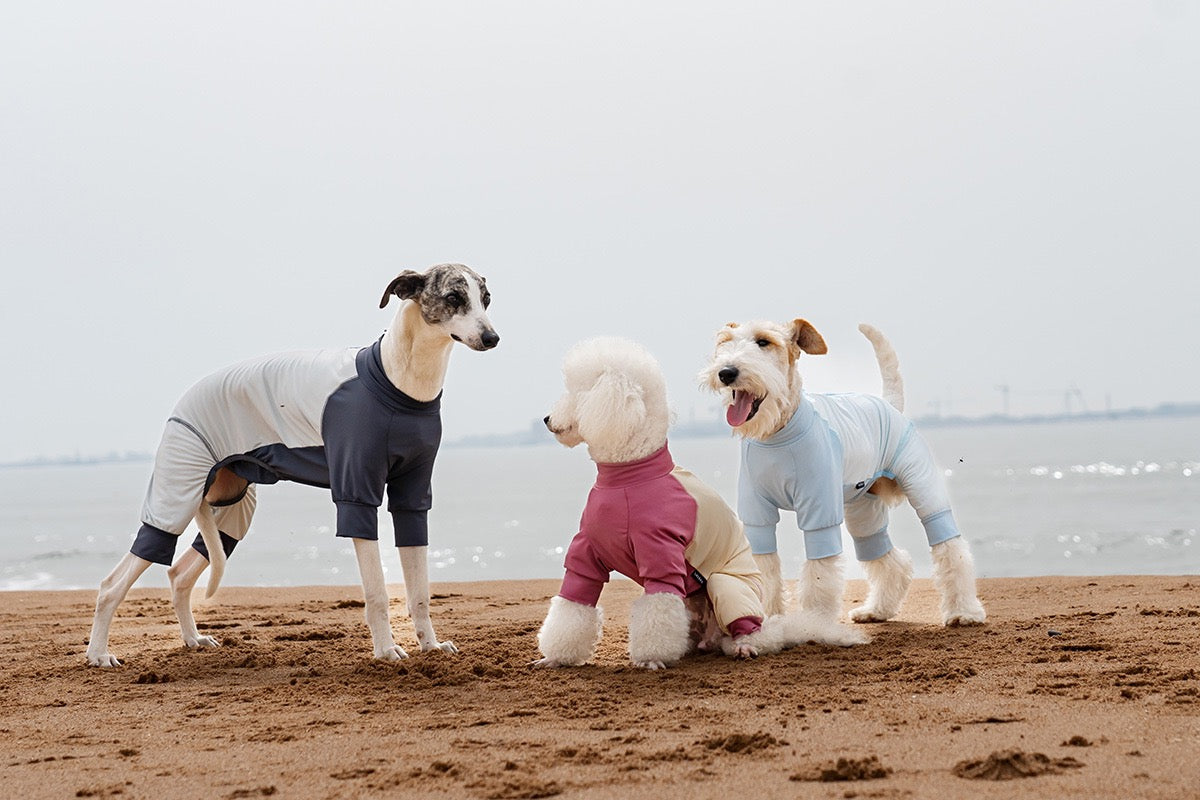 Small Breed Dog Sun Shirt