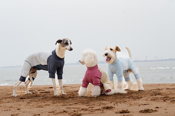 Small Breed Dog Sun Shirt