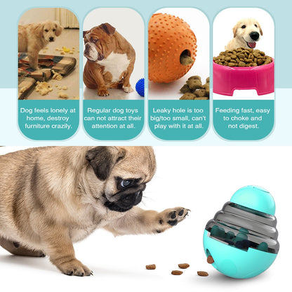 Dog Slow Feeder
