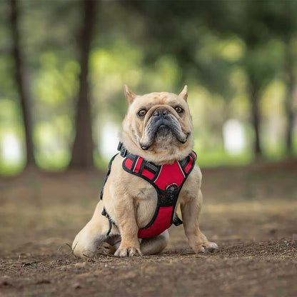 PU Oxford Fabric Dog Harness