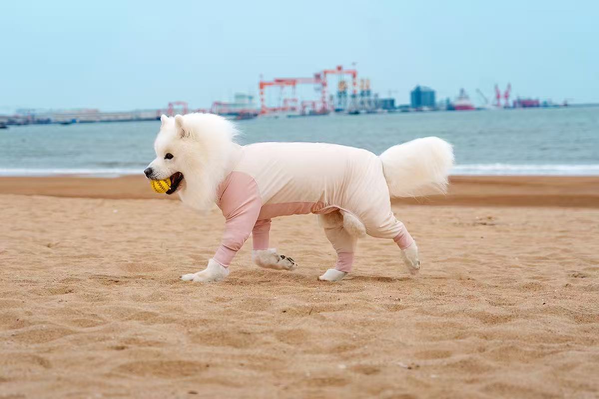 Dog Sun Protection Top for Large Breeds