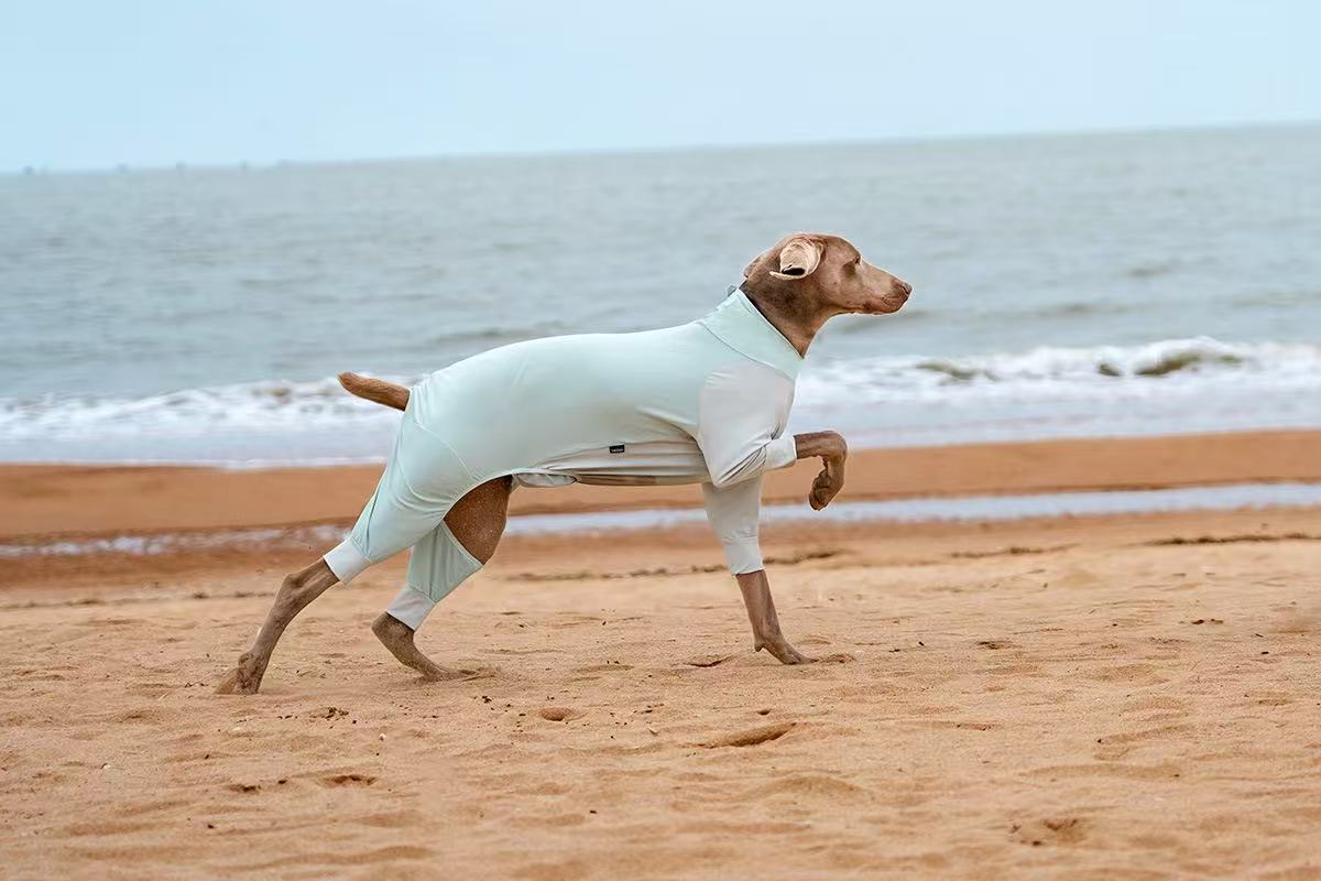 Dog Sun Protection Top for Large Breeds