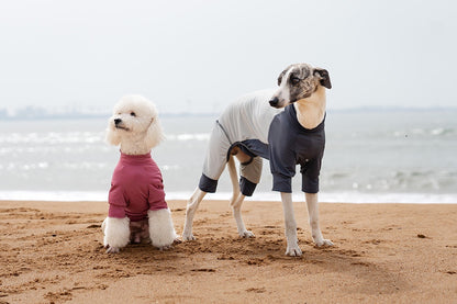 Small Breed Dog Sun Shirt