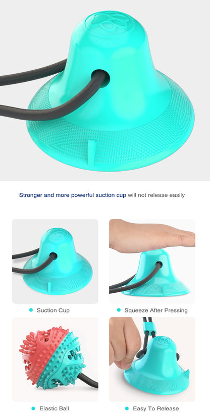 Suction Cup Dog Chew Ball Treat Dispenser
