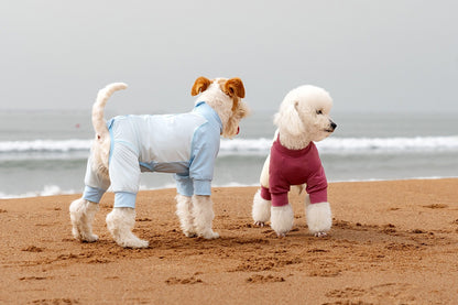 Small Breed Dog Sun Shirt