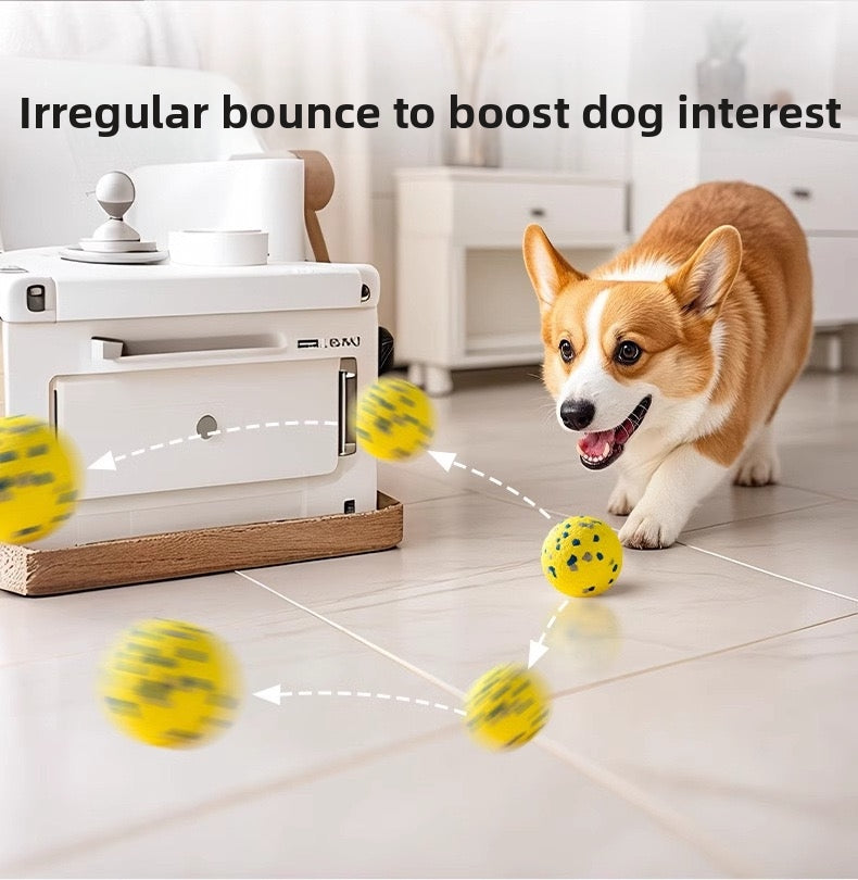 Dog toy ball
