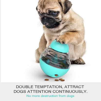 Dog Slow Feeder